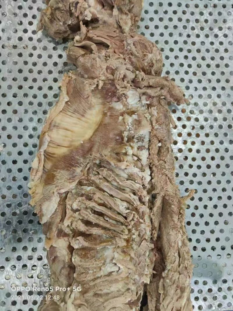 百万山去皮熟羊肉新货