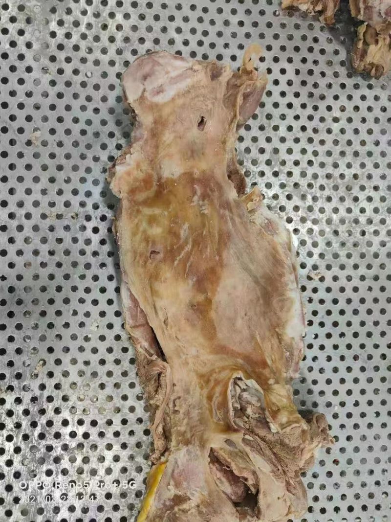 百万山去皮熟羊肉新货
