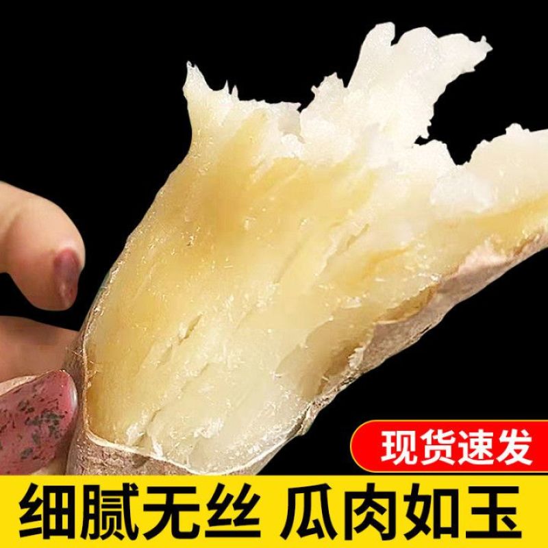 山东哈密冰糖蜜薯一件代发包邮包售后对接电商团购全渠道供应