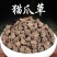 中药材猫爪草干货水洗正品抓草颗粒正宗真的猫爪草