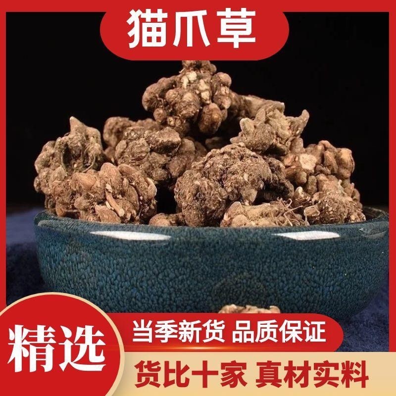 中药材猫爪草干货水洗正品抓草颗粒正宗真的猫爪草