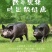 活猪（肥猪，两百斤以上）有7头，正宗跑山猪