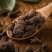 天葵子野生天葵子紫背天葵子天葵根千年老鼠屎天葵无硫原生态