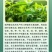 中量元素水溶肥增产增收保花保果蔬菜果树农用药叶