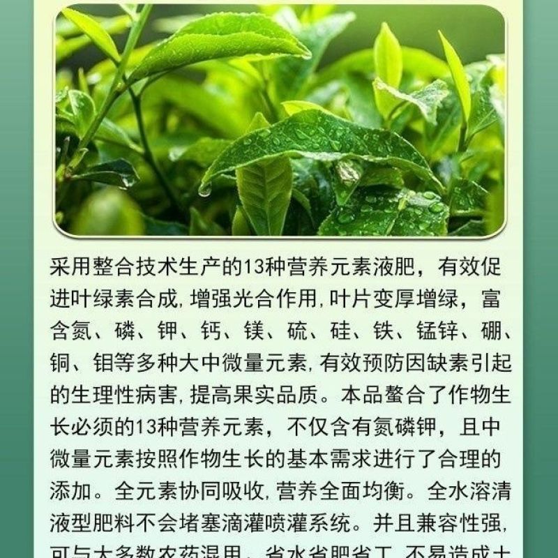 中量元素水溶肥增产增收保花保果蔬菜果树农用药叶