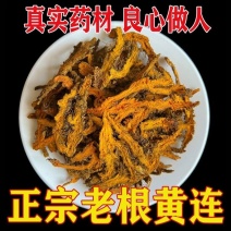 黄连个川黄连中药材鸡爪连特级黄连正品正宗川莲黄连粉