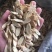【产地直供】甘肃道地药材黄芪片高品质精选黄芪片量大从优