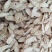 【产地直供】甘肃道地药材黄芪片高品质精选黄芪片量大从优