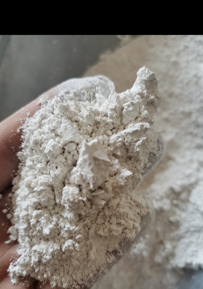珍珠