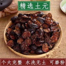 土元中药材干货中药材地鳖虫土元虫干土鳖虫土元虫粉土鳖