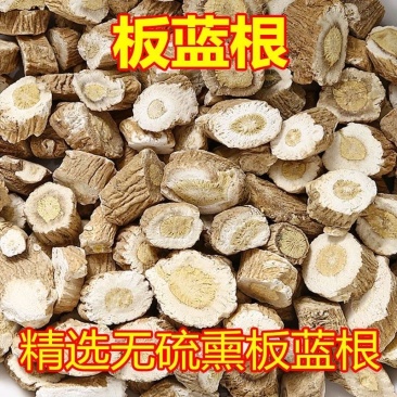 精品板蓝根中药材板蓝根草大青根无硫板蓝根片板兰根
