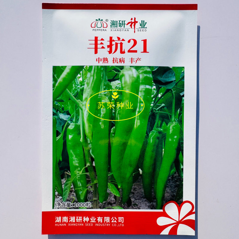 湘研丰抗21辣椒种子中熟高产耐热耐旱长牛角椒种子皮薄味辣