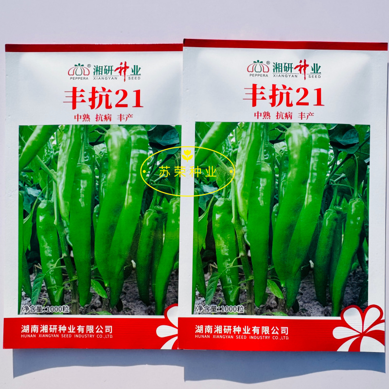 湘研丰抗21辣椒种子中熟高产耐热耐旱长牛角椒种子皮薄味辣