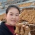 广西河池罗城黄金江口红薯粉条，产地一手货源量大优惠