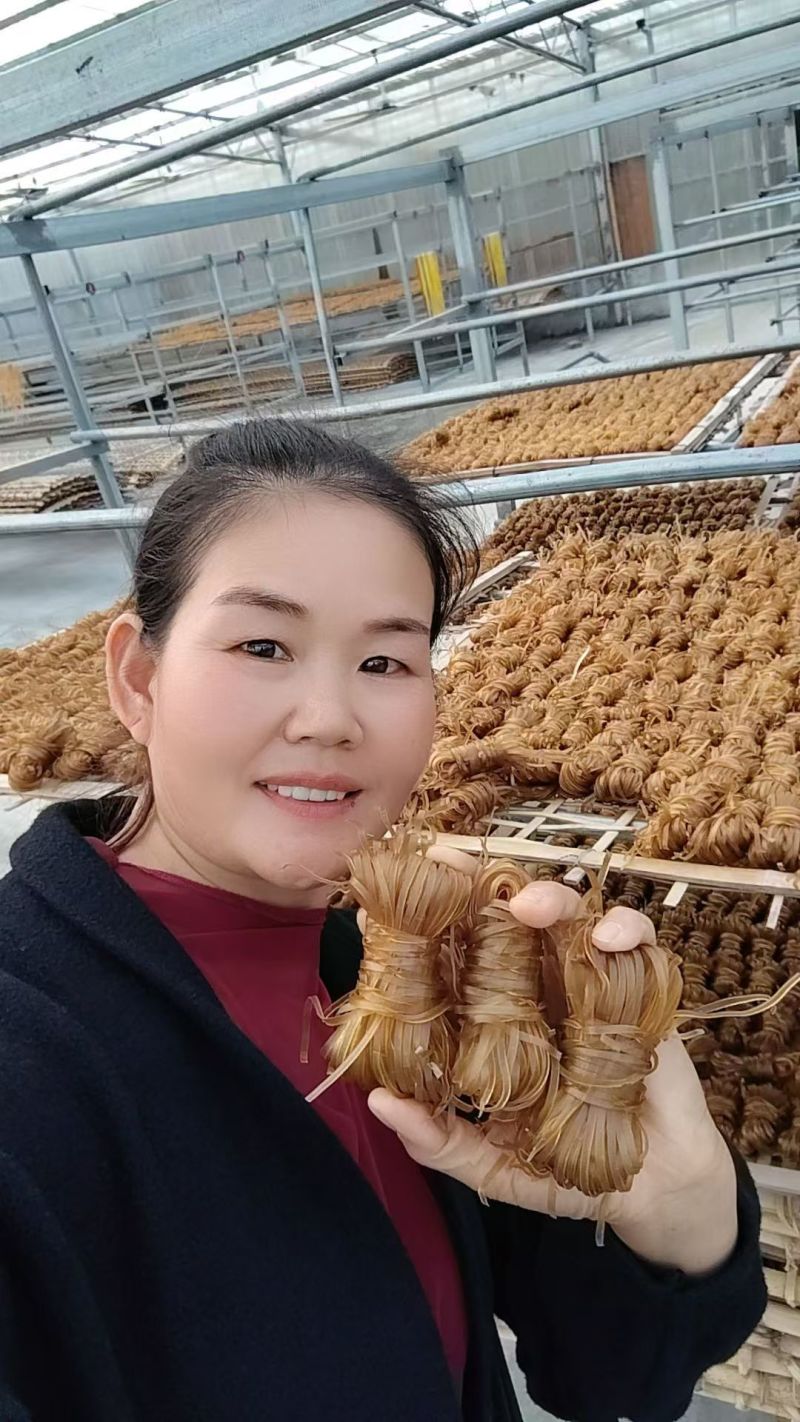 广西河池罗城黄金江口红薯粉条，产地一手货源量大优惠
