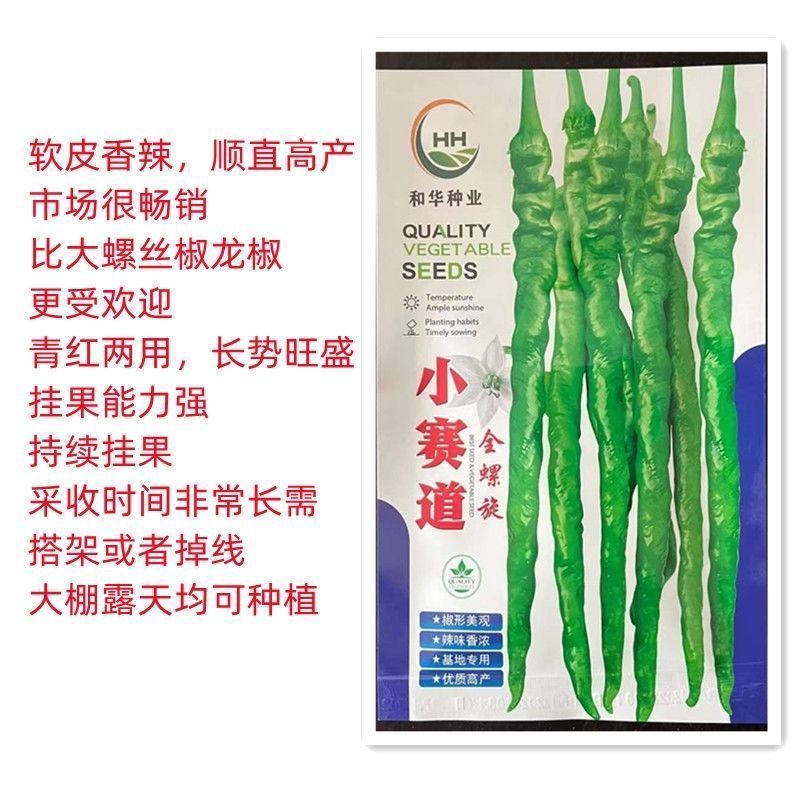 小赛道全螺旋螺丝椒长线辣椒种子长果早熟辣味浓抗病性强基地