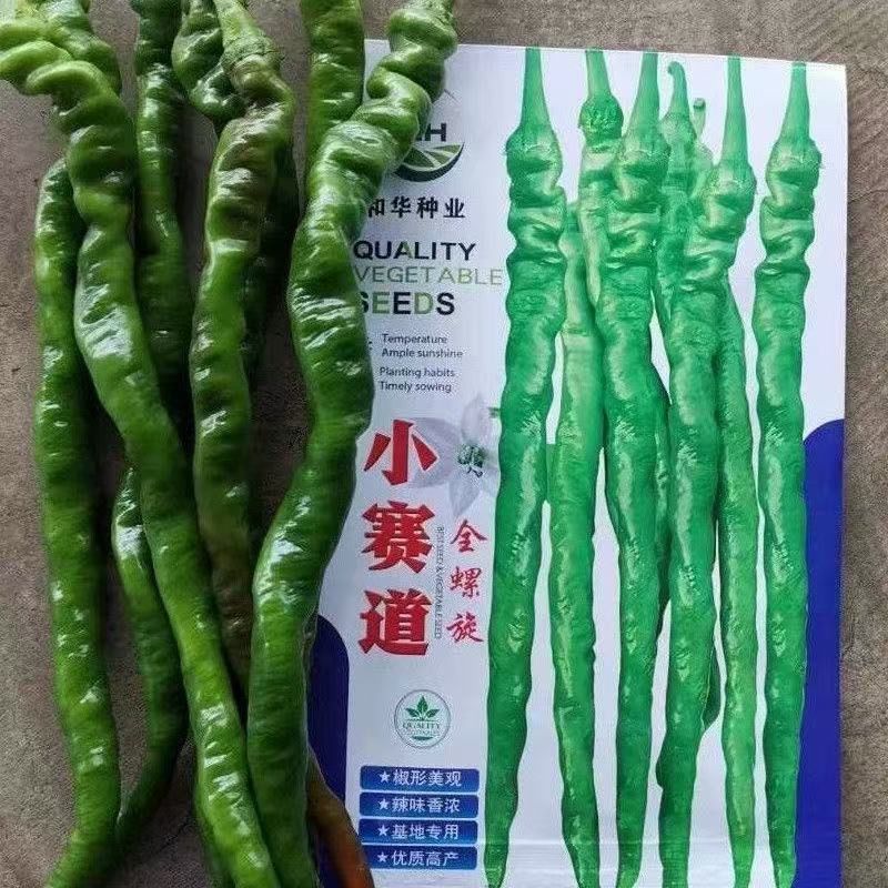 小赛道全螺旋螺丝椒长线辣椒种子长果早熟辣味浓抗病性强基地