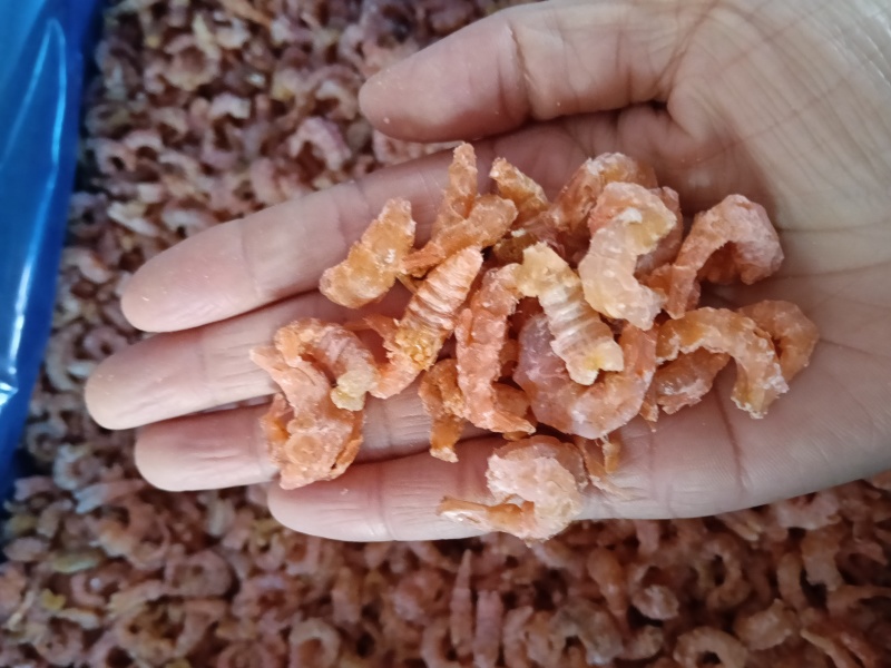 金钩海米，海米，新加工海米，干海米，金钩海米，干货
