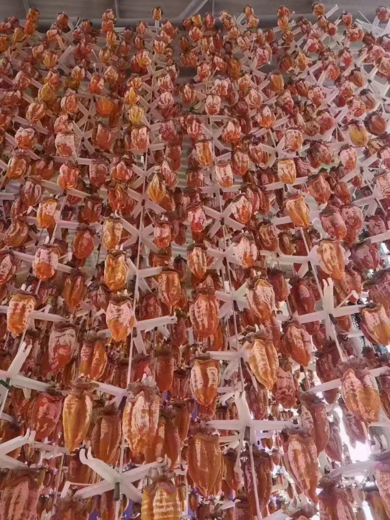 富平红富士