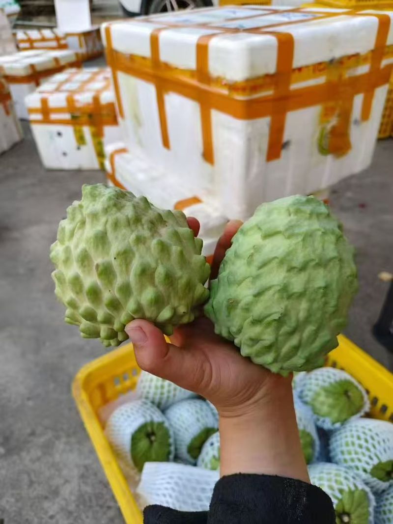 释迦果