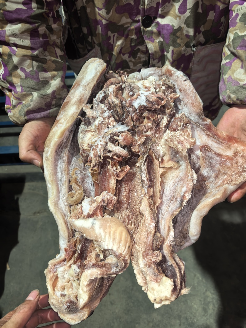 牛头肉清水退毛8成熟刀削毛纯干货，抽真空好看