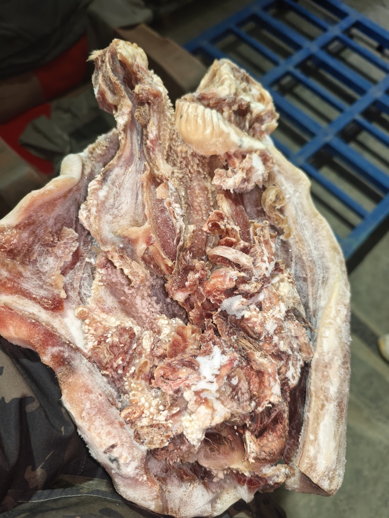 牛头肉清水退毛8成熟刀削毛纯干货，抽真空好看