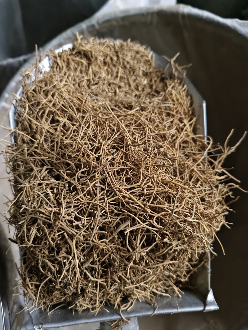 细辛辽细辛各种规格批发零售量大优惠