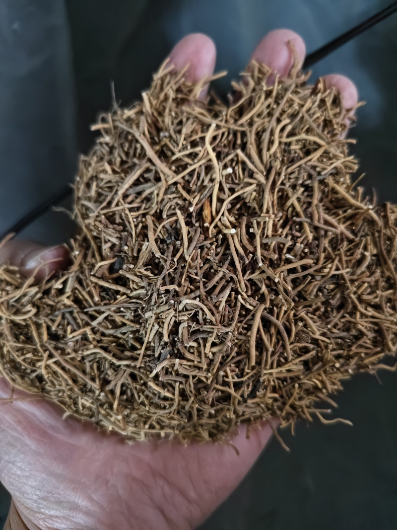 细辛辽细辛各种规格批发零售量大优惠