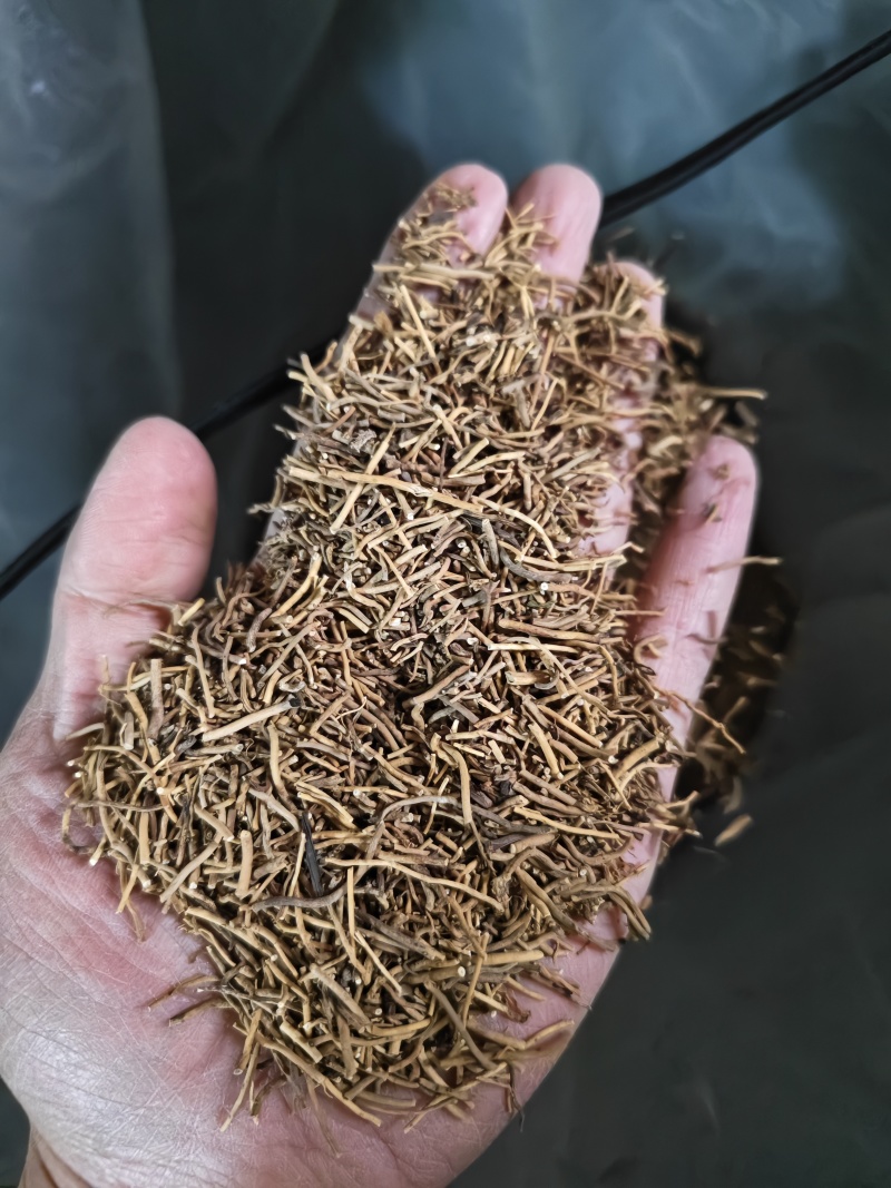 细辛辽细辛各种规格批发零售量大优惠
