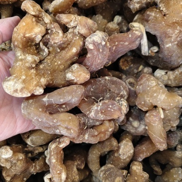中药材黄精无硫正品黄精片规格齐全散装批发量大优惠