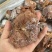 【卤味】五香牛碎肉，牛碎肉块，一件起发，量大从优。