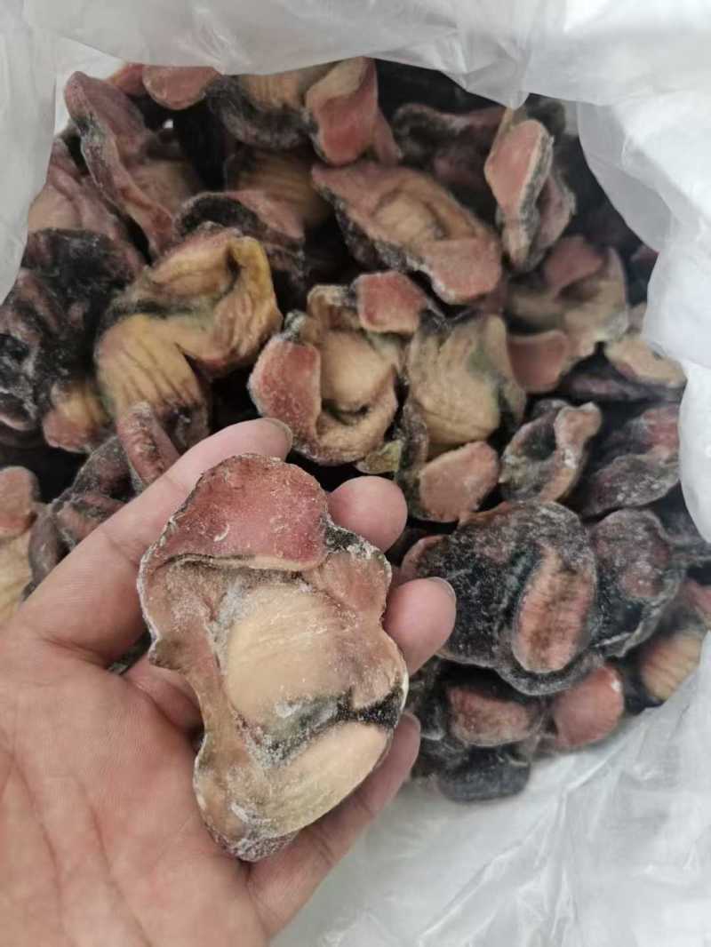 乌鸡胗
