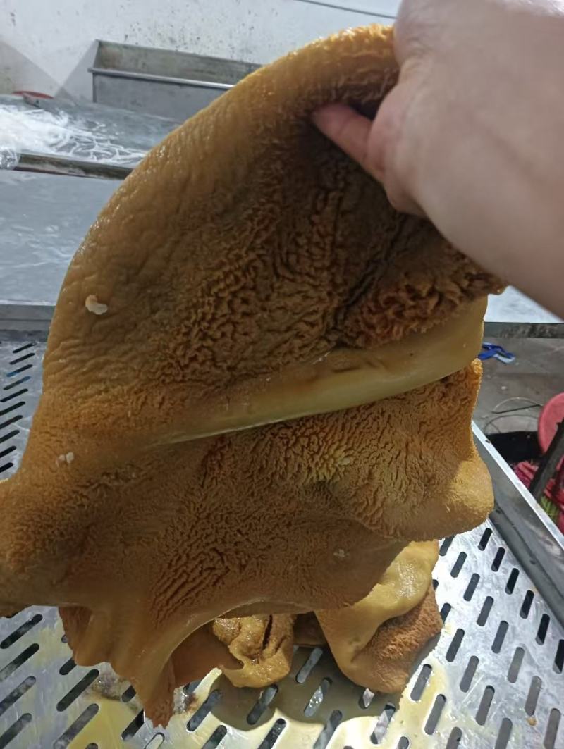 熟牛肚，原味熟牛肚，一件起发，量大从优，欢迎光临！