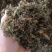 梅干菜扣肉饼