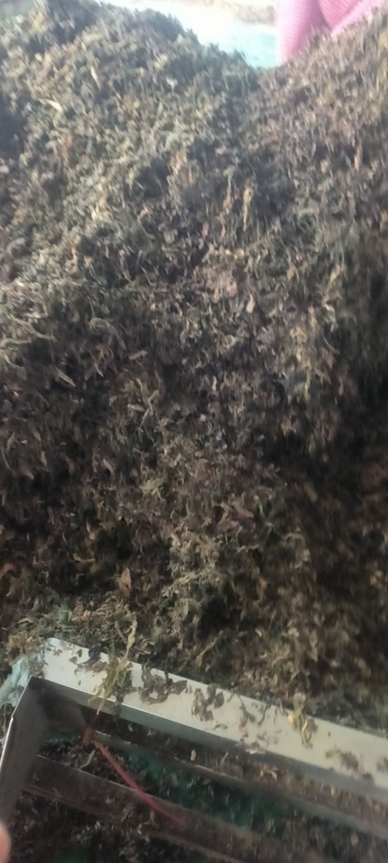 梅干菜扣肉饼