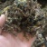 梅干菜扣肉饼