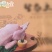 跑山鸡纯放养，五谷杂粮喂养，240天以上，