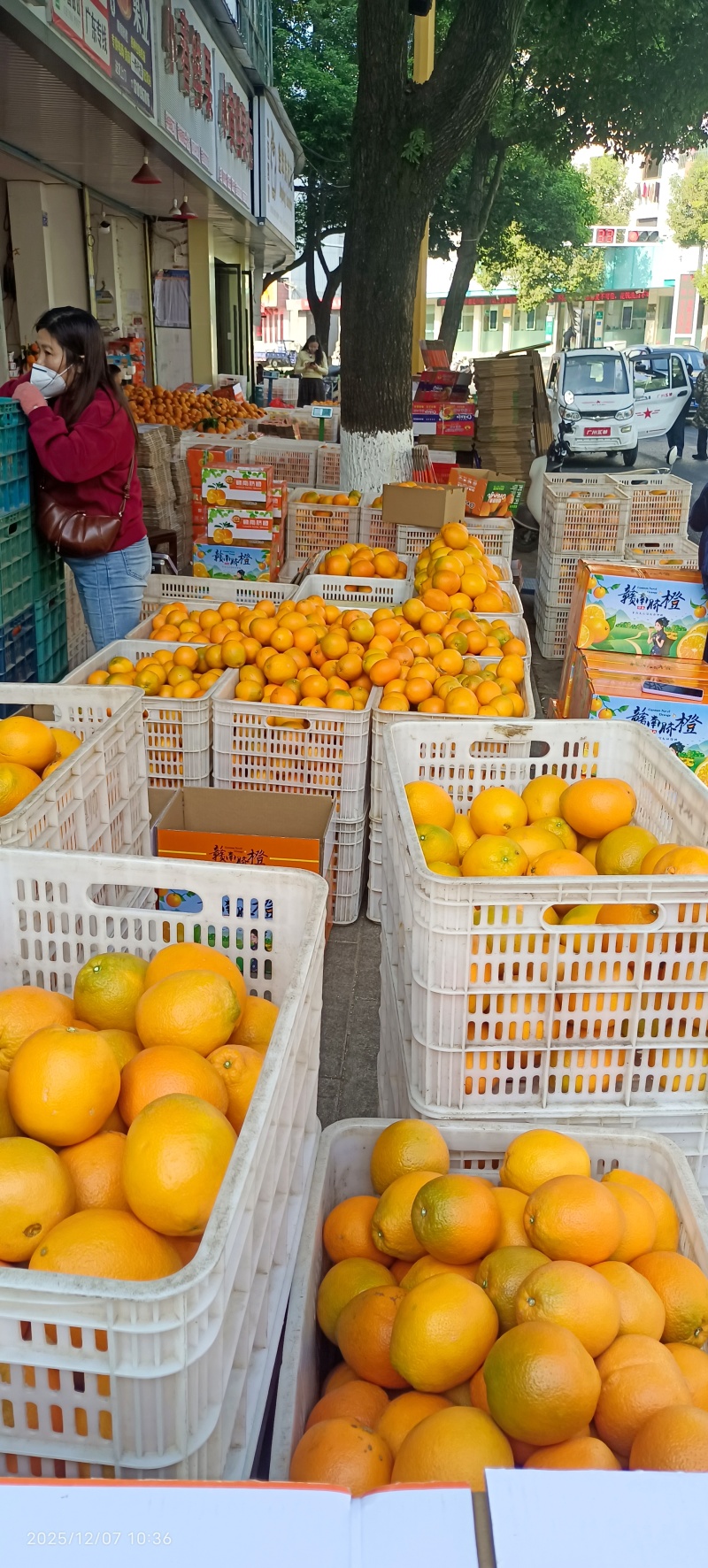 赣南脐橙