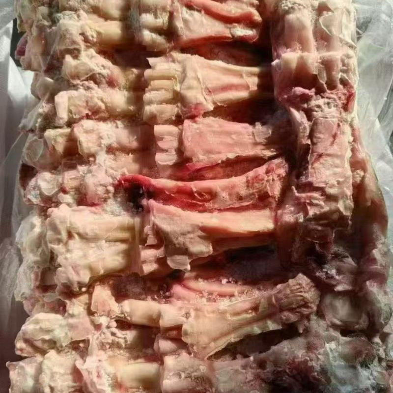 生牛蹄筋