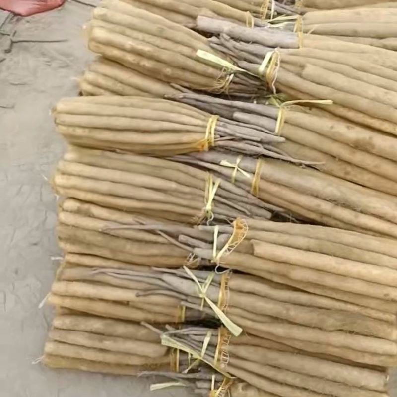 大家好今天是11月19号正在装网代货双棒二路三零到五零