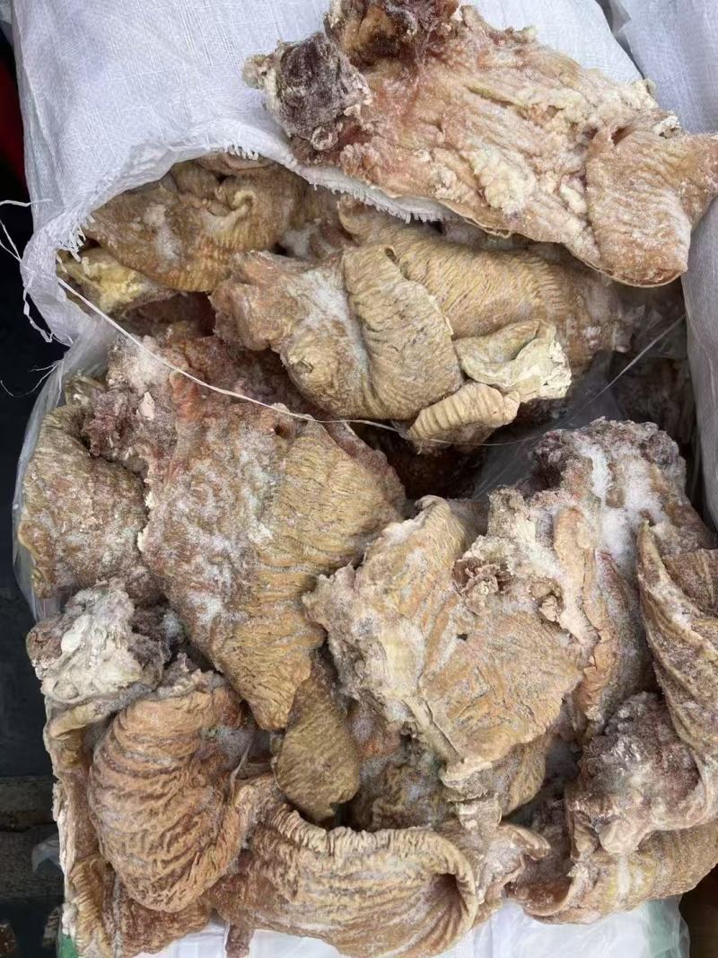 牛碗口，牛散带，一件起发，量大从优，长年有货。