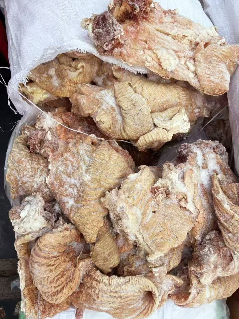 牛碗口，牛散带，一件起发，量大从优，长年有货。