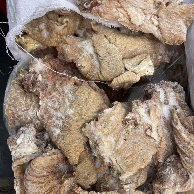 牛碗口，牛散带，一件起发，量大从优，长年有货。