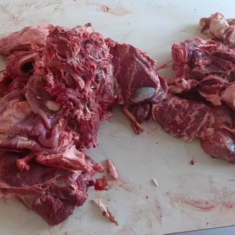 新到天成羊肉438一件20斤