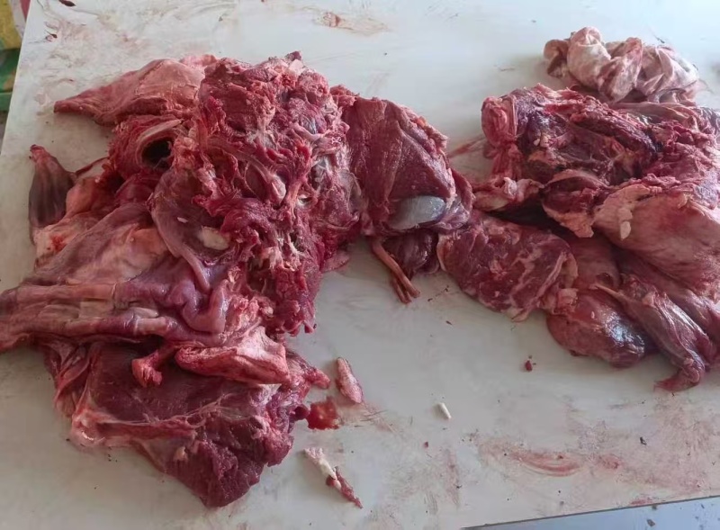 新到天成羊肉438一件20斤