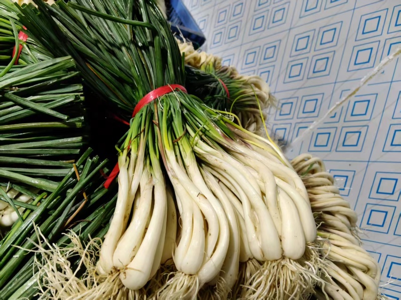湖南藠头对接全国市场价格美丽走货快欢迎询价热卖