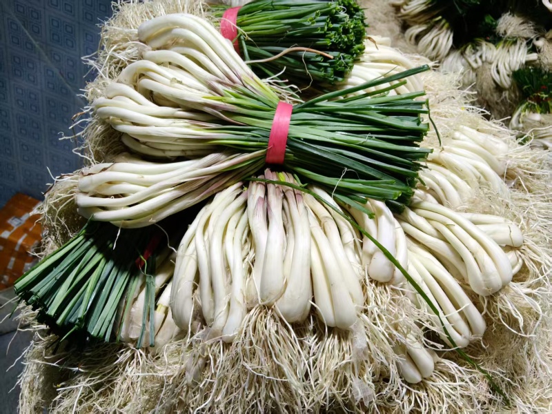 湖南藠头对接全国市场价格美丽走货快欢迎询价热卖