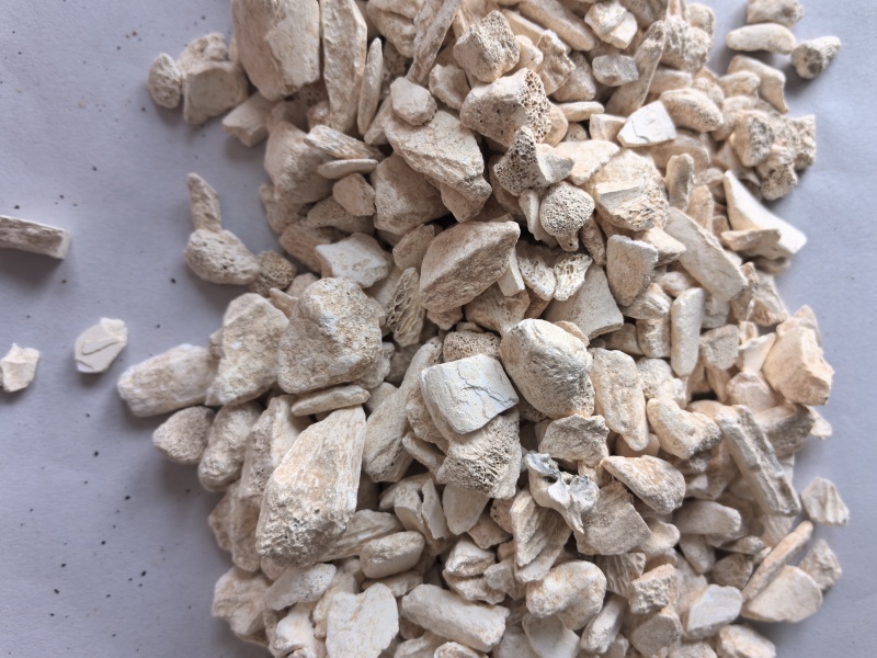 龙骨干净无杂质个头相对均匀道地药材