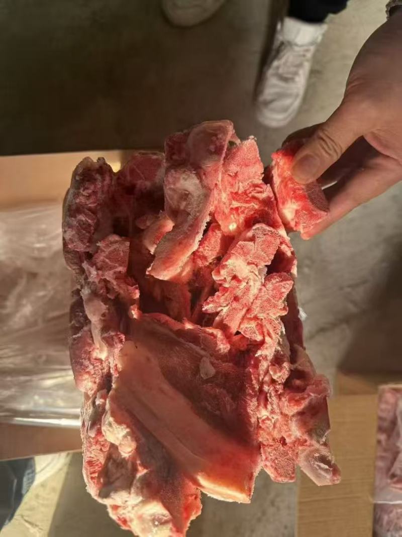 猪背骨