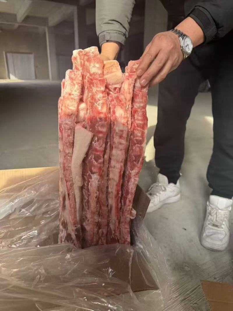 猪背骨